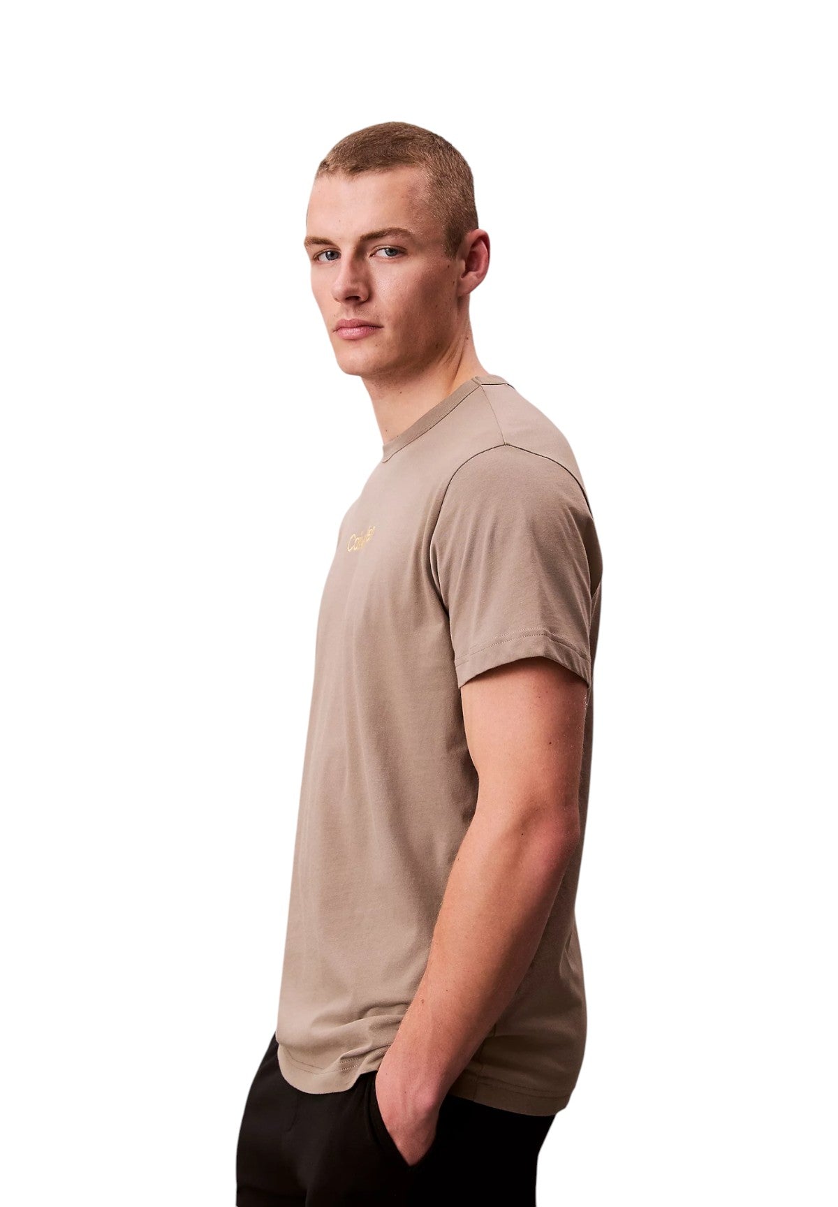 T-shirt a Maniche Corte S/S Crew Neck 000NM2748E Captivating Gray