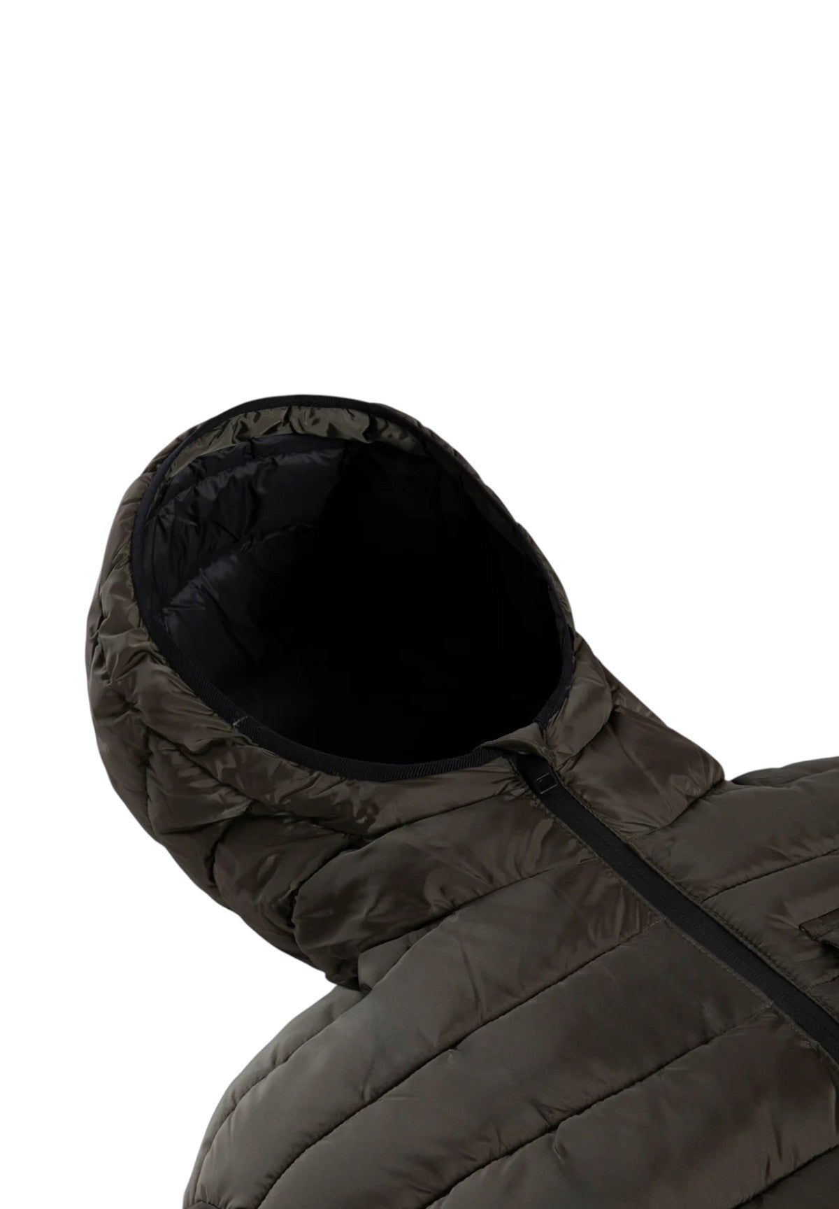 Piumino Pesante JOSH JACKET Sea Turtle