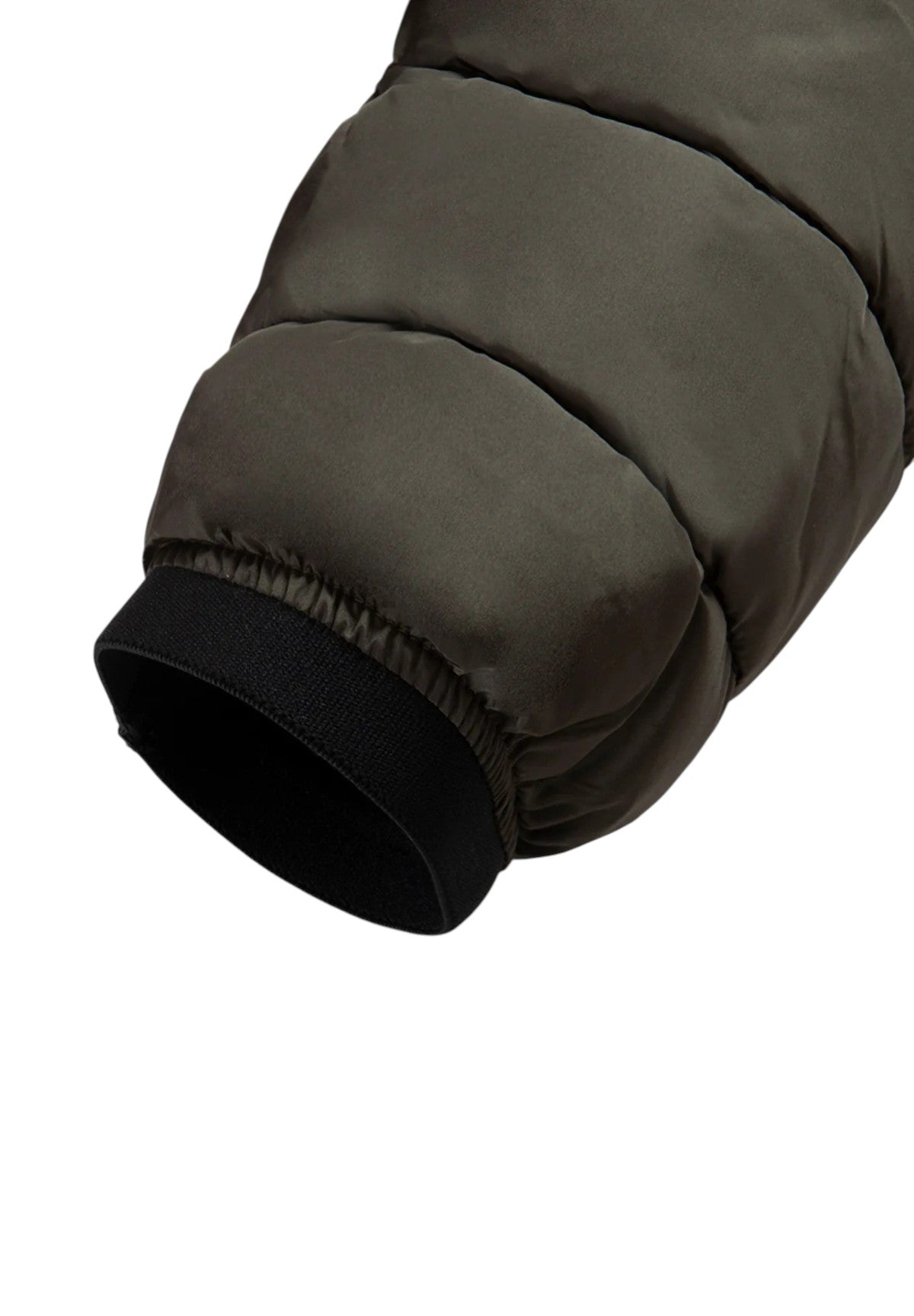 Piumino Pesante JOSH JACKET Sea Turtle