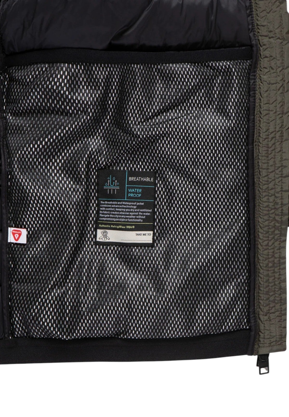 Piumino Pesante JOSH JACKET Sea Turtle