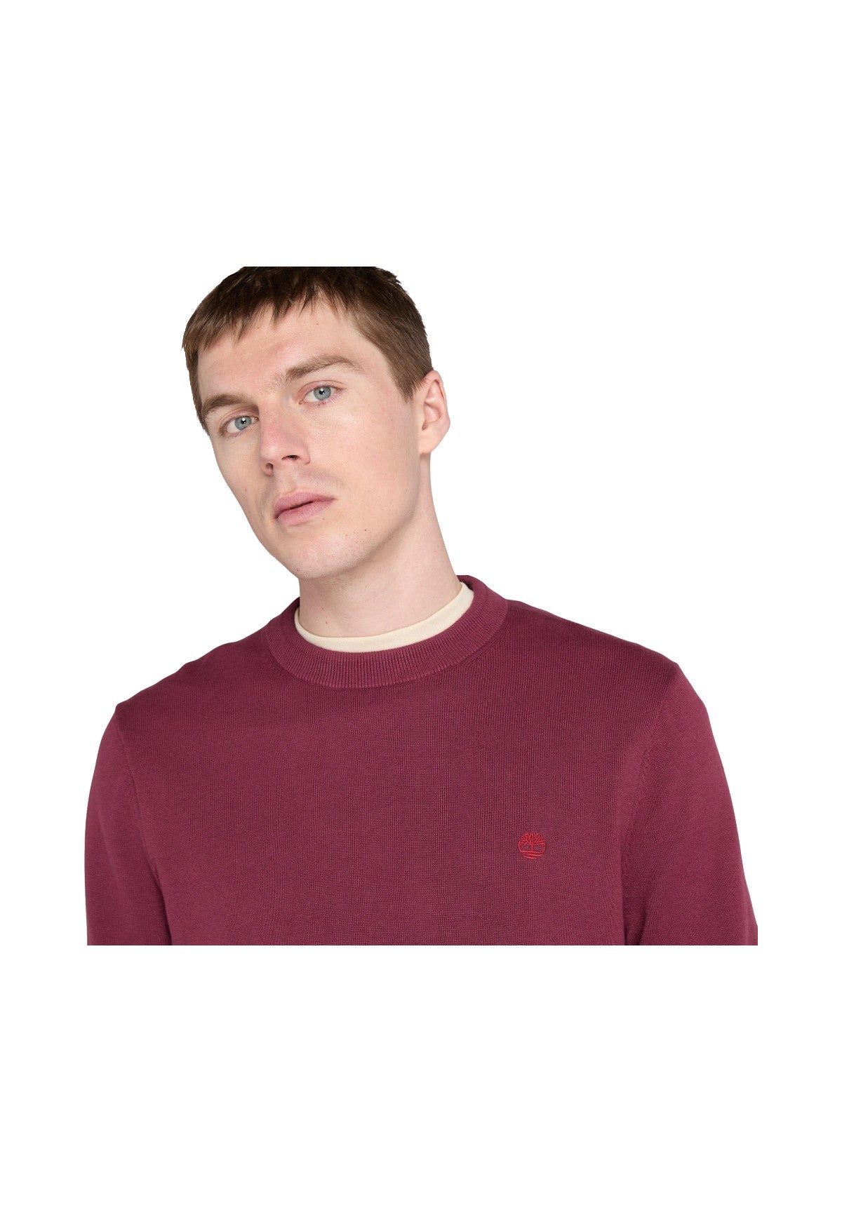 Maglione Girocollo Williams River TB0A2BMM Burgundy