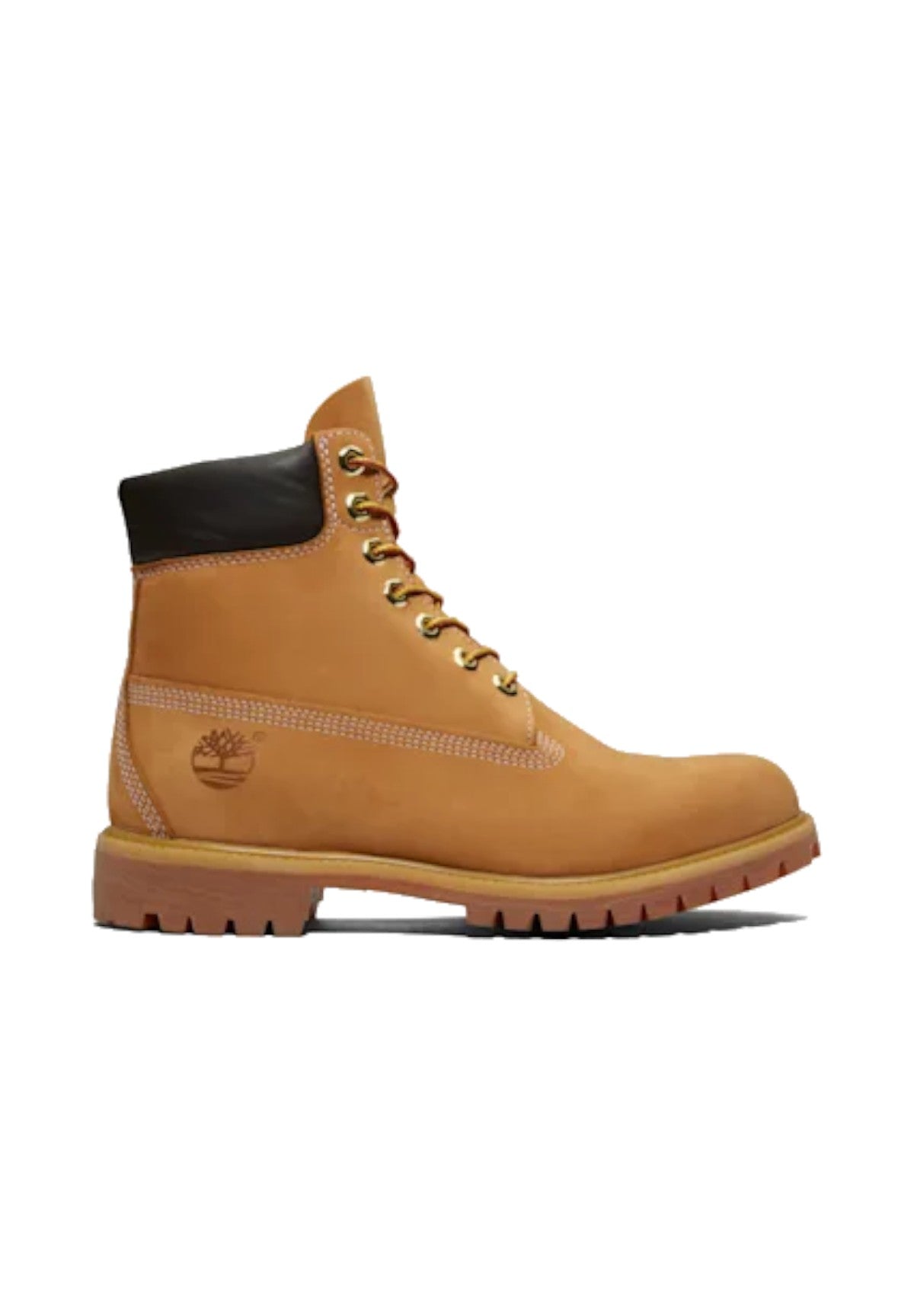 Scarponcini Timberland Premium 6 Inch Lace Up Waterproof TB110061 Wheat