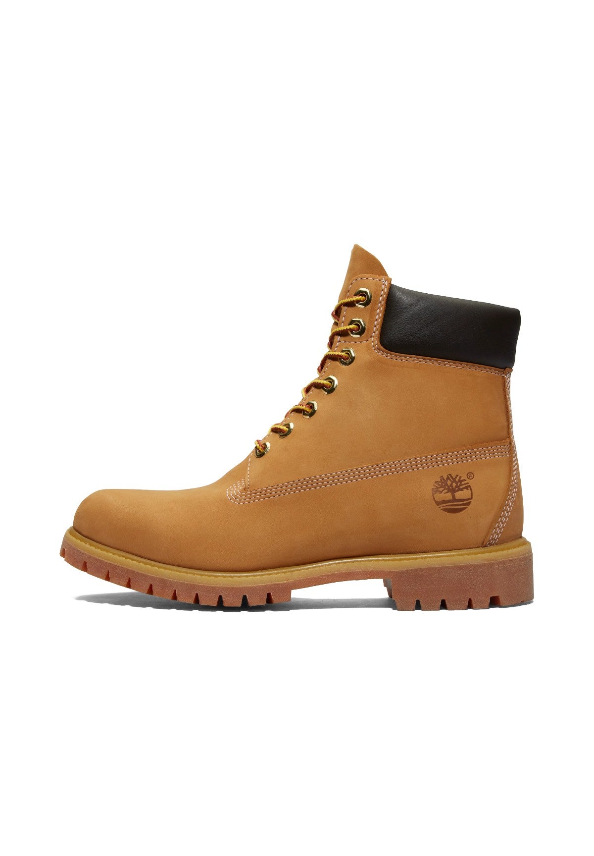 Scarponcini Timberland Premium 6 Inch Lace Up Waterproof TB110061 Wheat