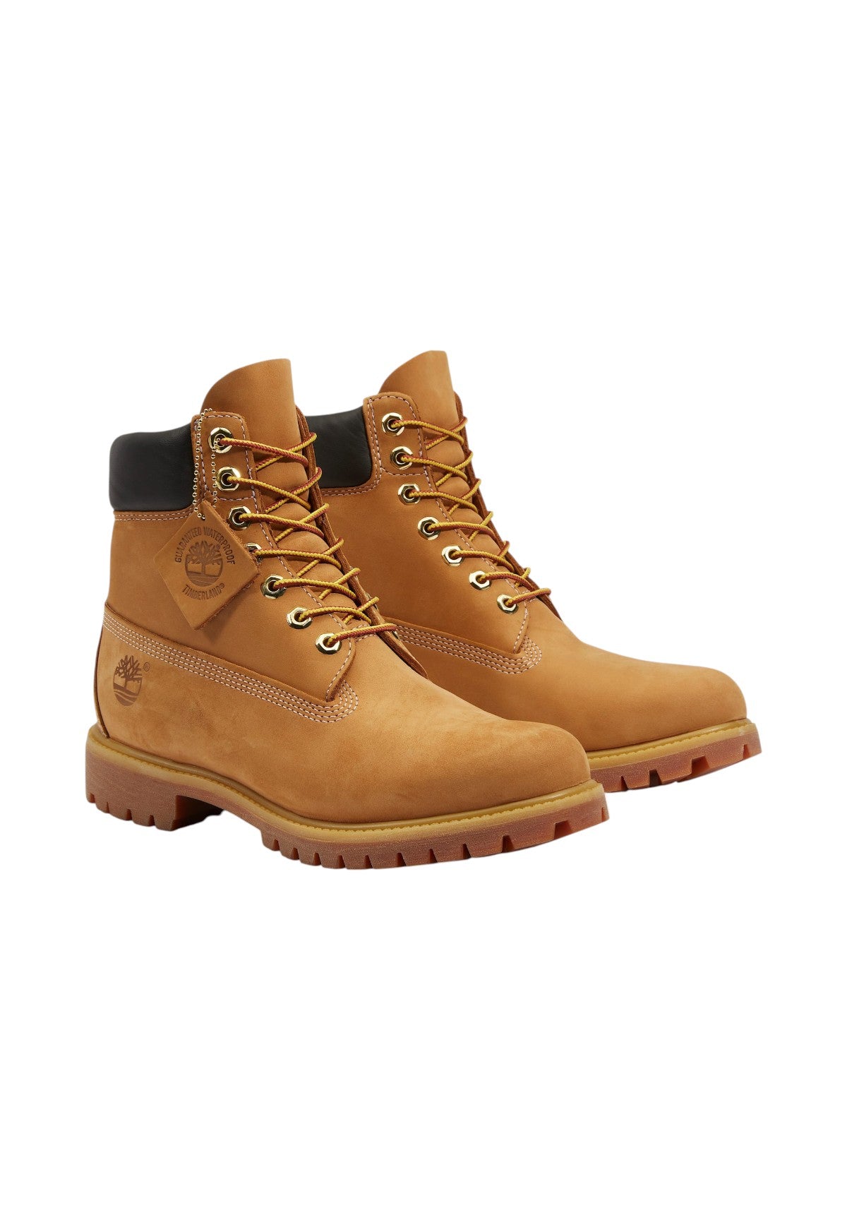 Scarponcini Timberland Premium 6 TB110061 Wheat