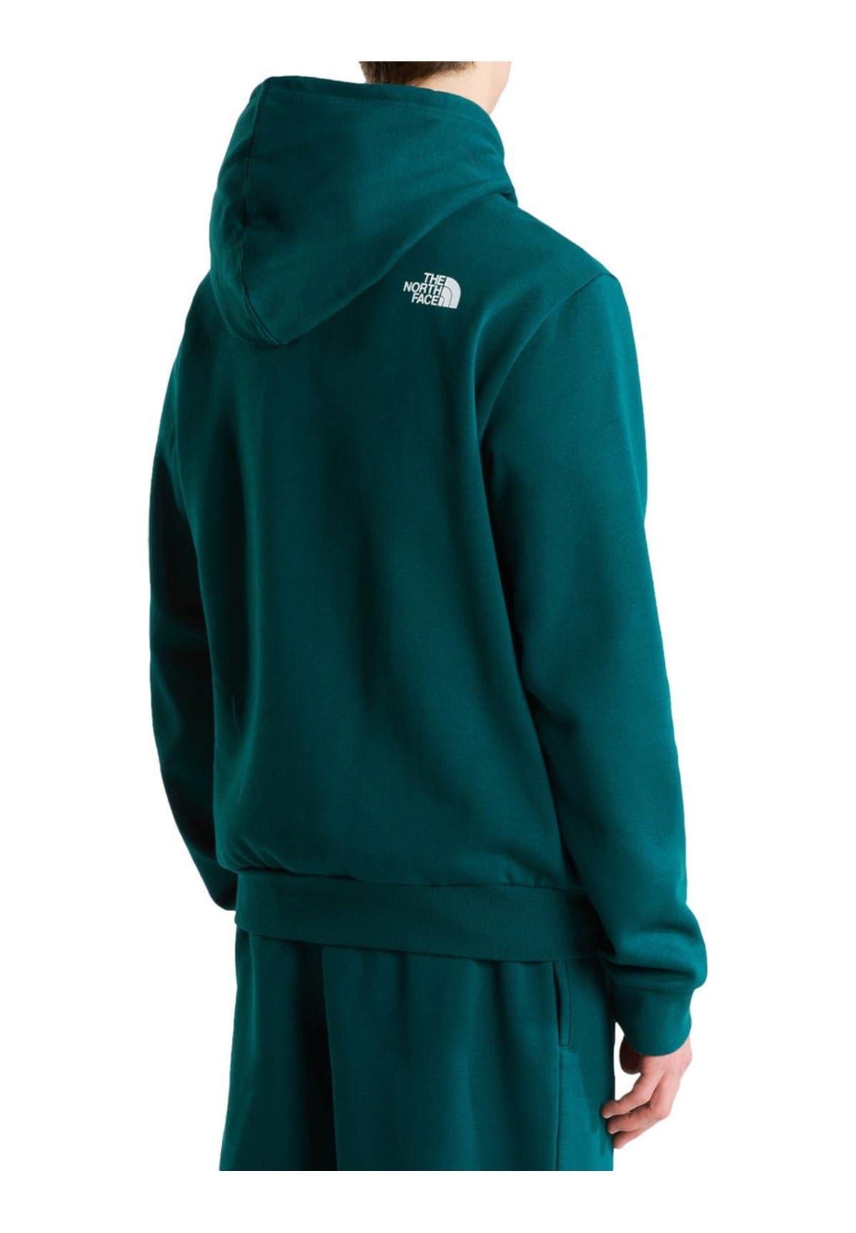 Felpa Pullover con Cappuccio M Box Half Dome NF0A8JAX Pacific Teal