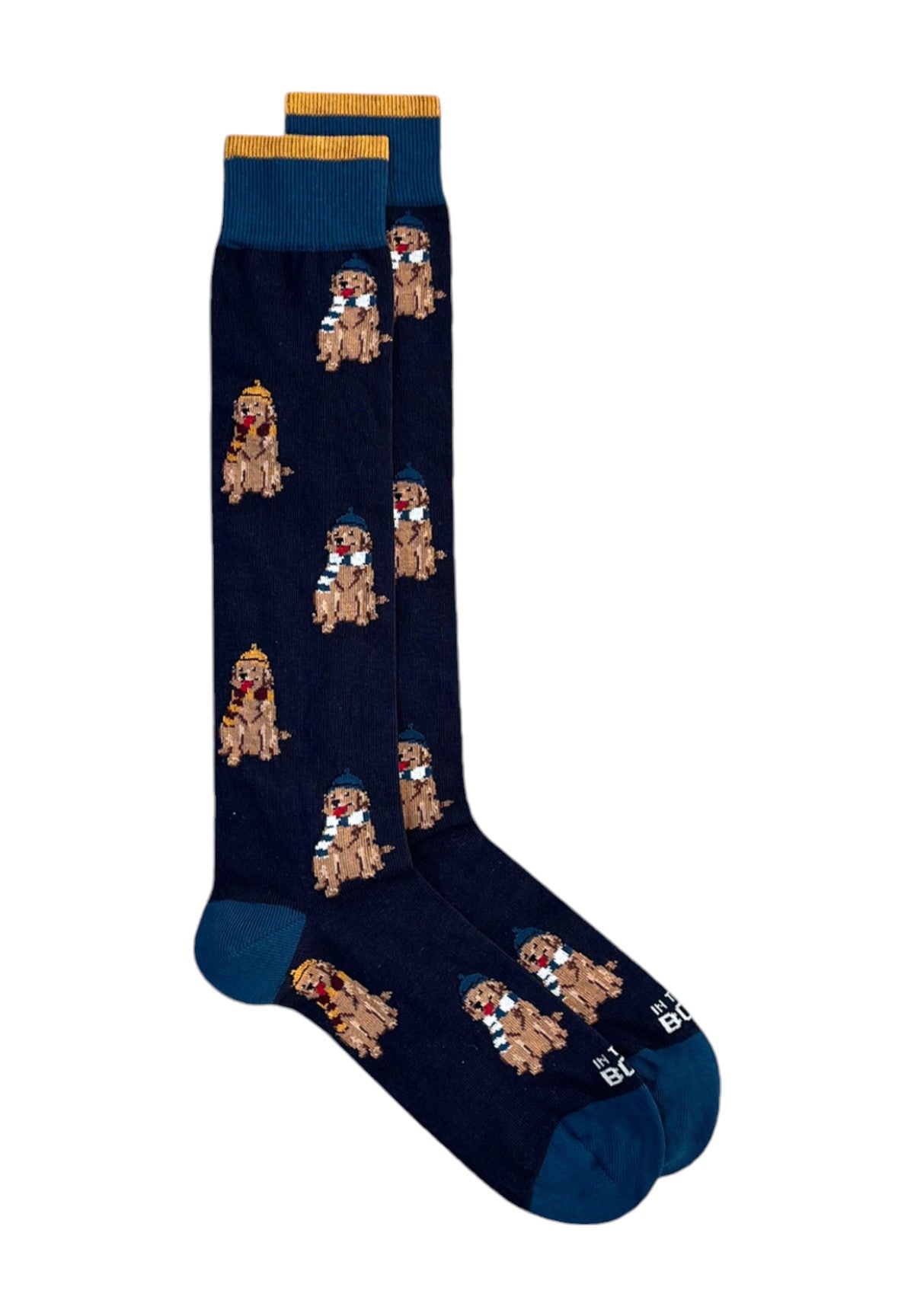 Calzini Mr. Box Dog FW240004 Blu