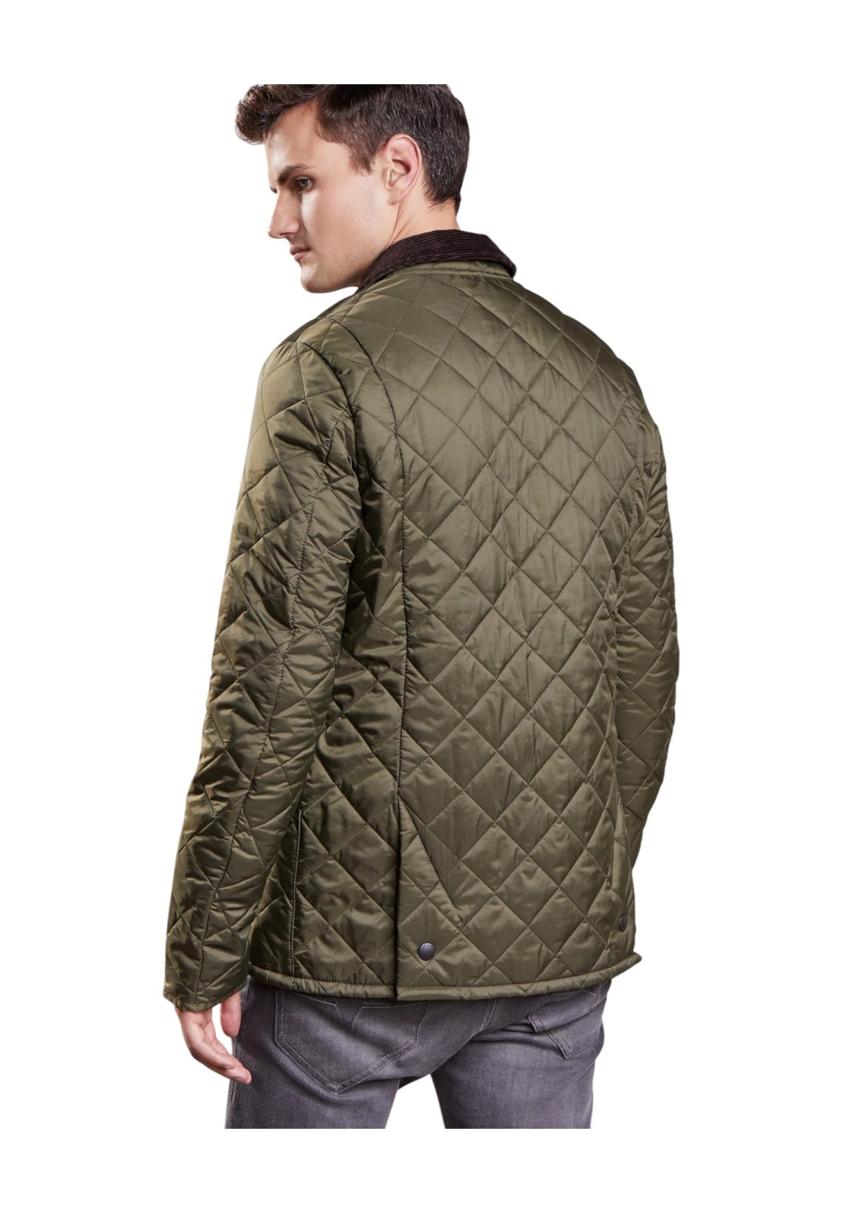 Giubbino Heritage Liddesdale Quilt MQU0240 Olive