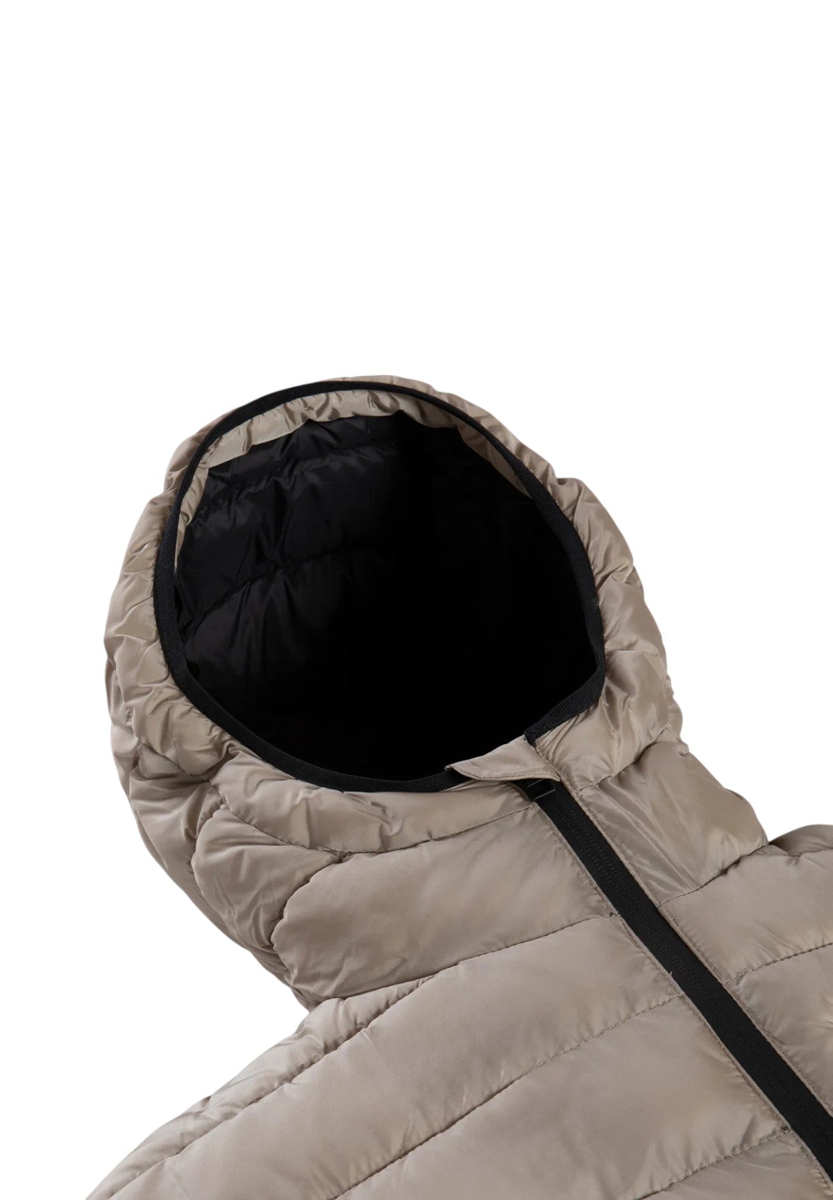 Piumino Pesante JOSH JACKET Plaza taupe