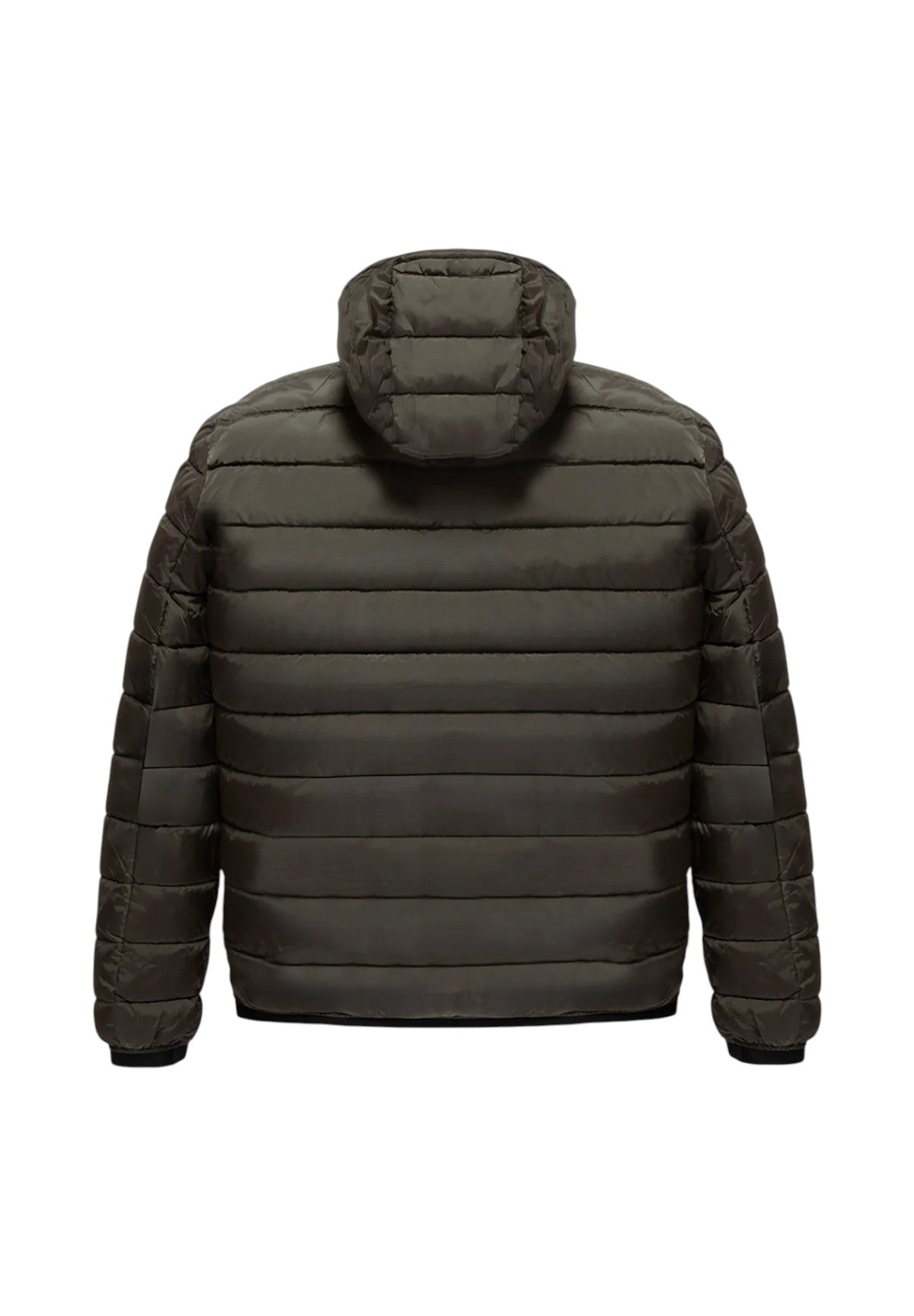 Piumino Pesante JOSH JACKET Sea Turtle