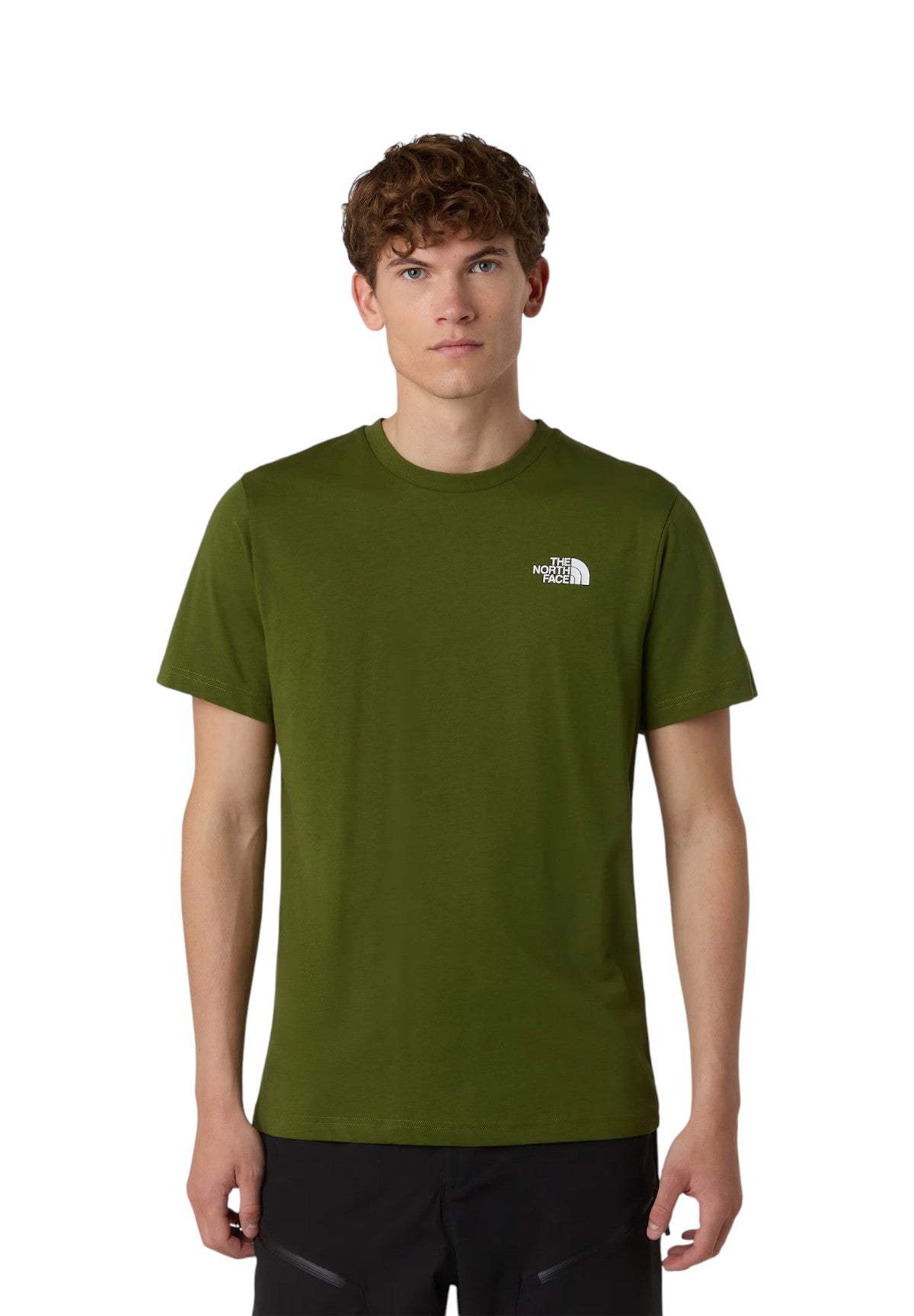 T-shirt a Maniche Corte Box NSE NF0A87NP Verde