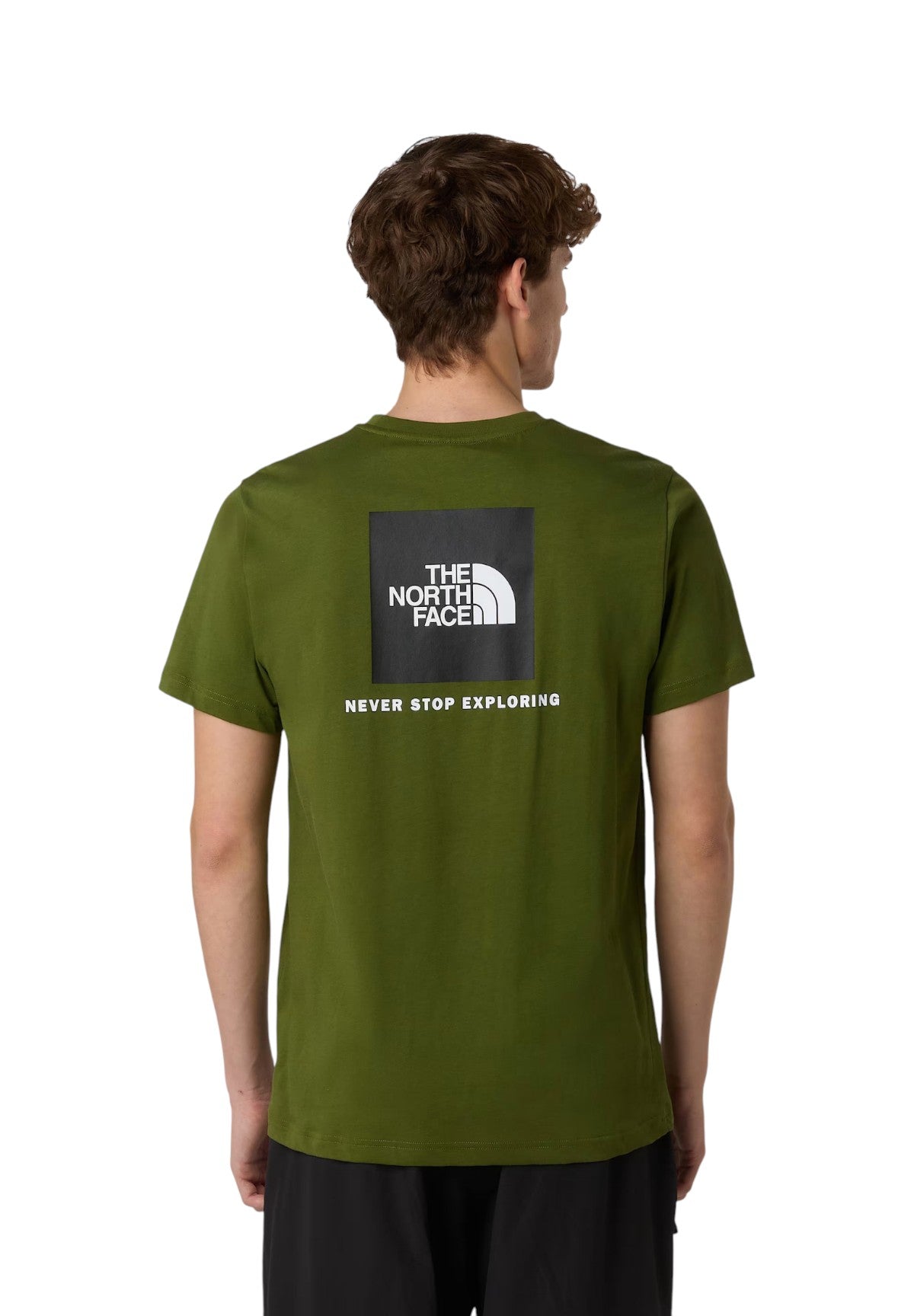 T-shirt a Maniche Corte Box NSE NF0A87NP Verde