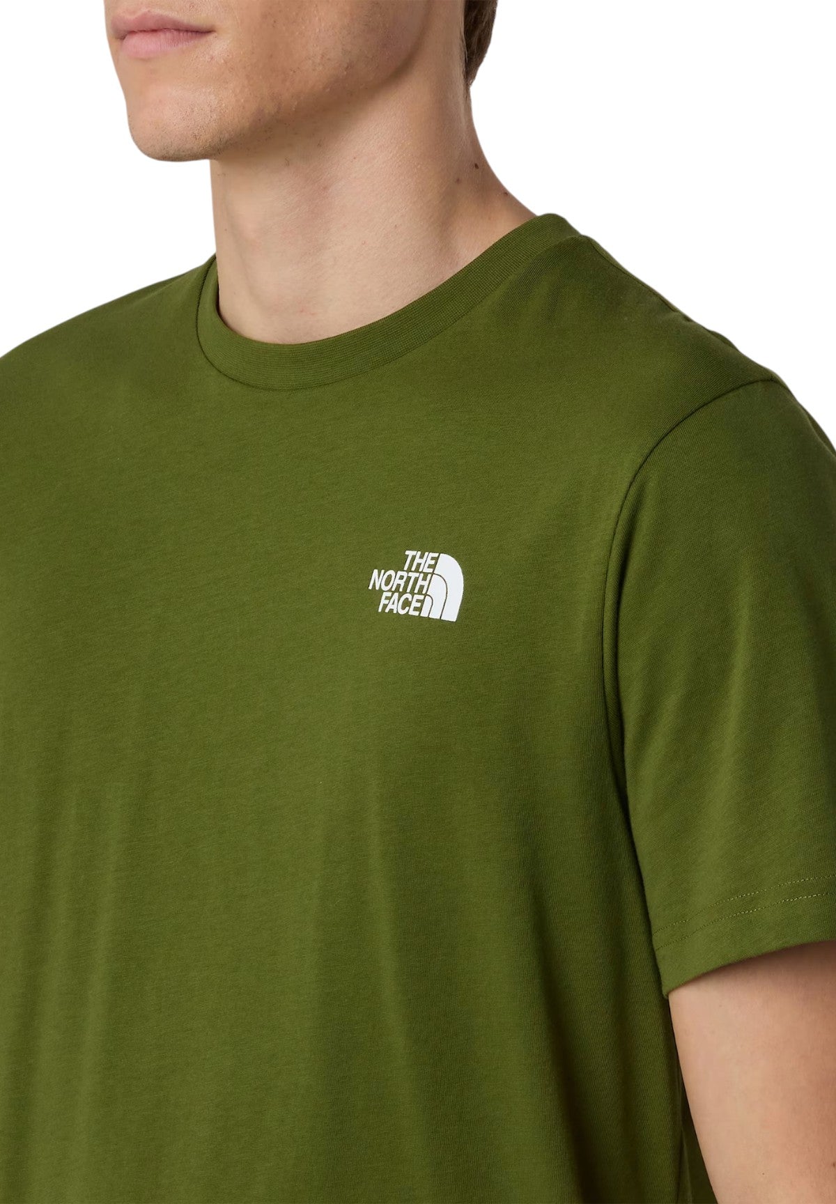 T-shirt a Maniche Corte Box NSE NF0A87NP Verde