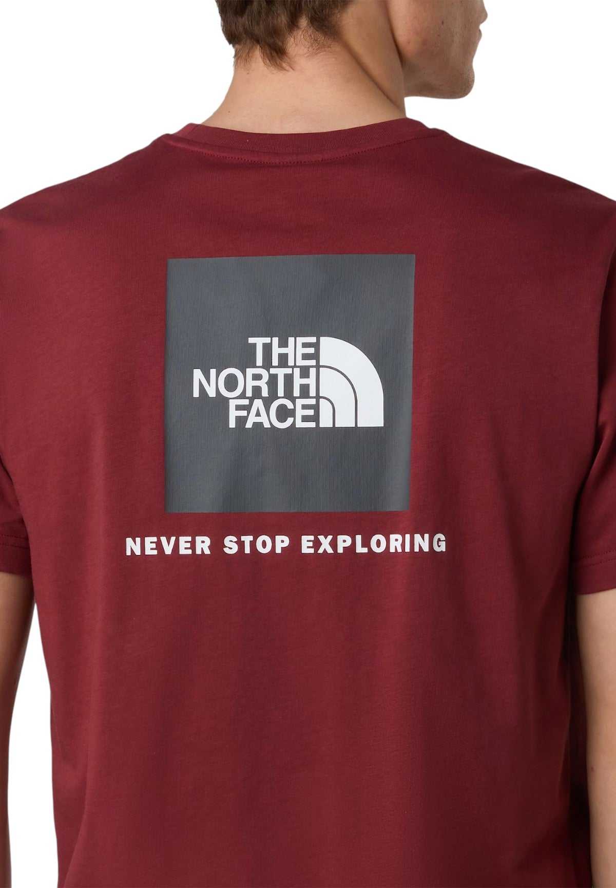 T-shirt a Maniche Corte Box NSE NF0A87NP Bordeaux