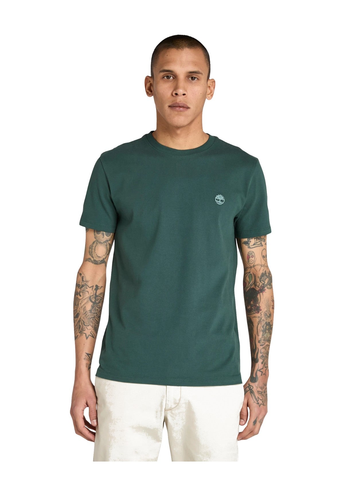 T-shirt a Maniche Corte Dunstan River TB0A2BPR Green Gables