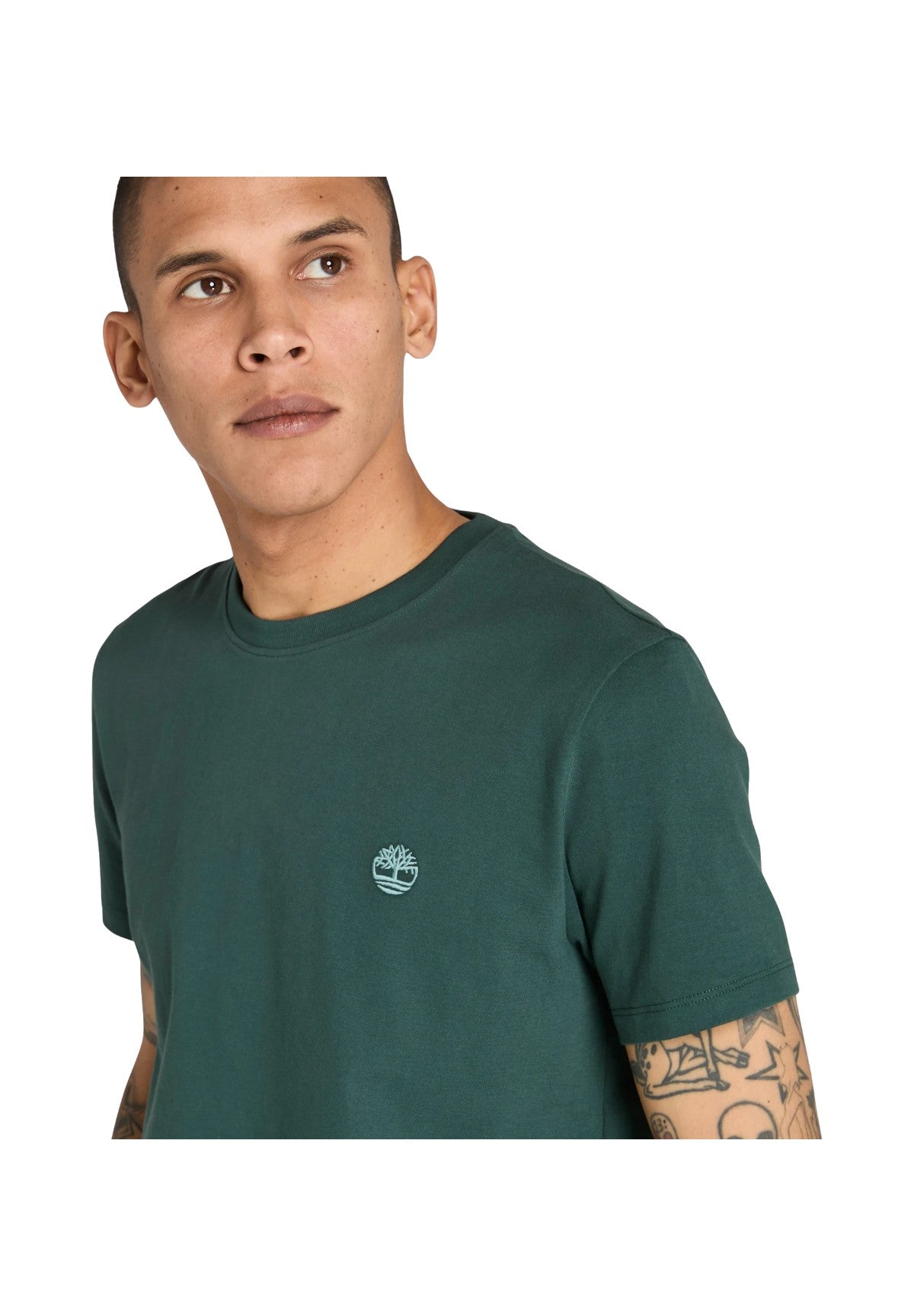 T-shirt a Maniche Corte Dunstan River TB0A2BPR Green Gables