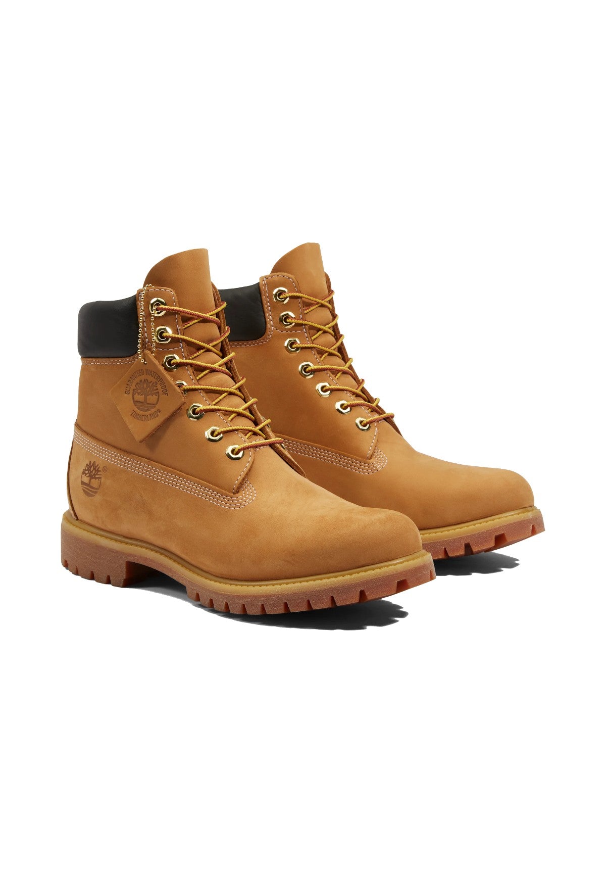 Scarponcini Timberland Premium 6 Inch Lace Up Waterproof TB110061 Wheat