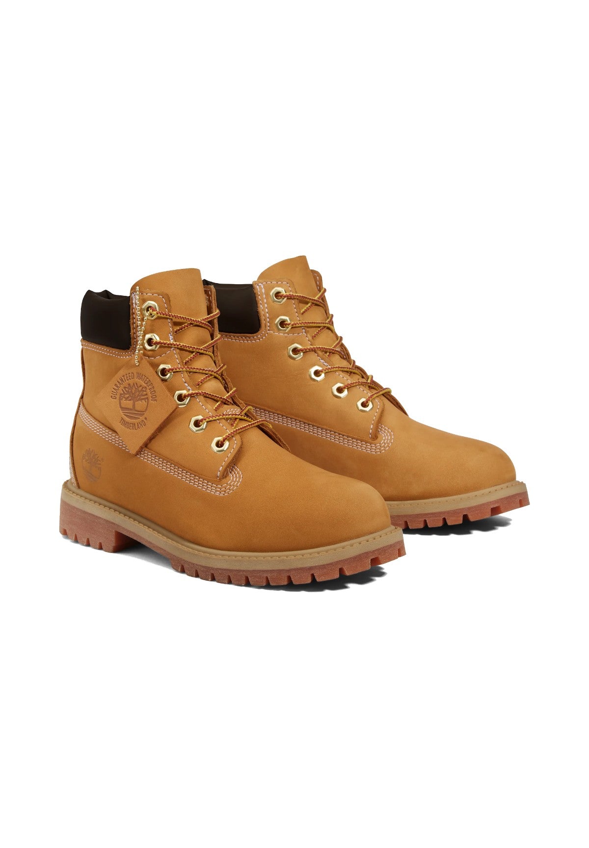 Scarponcini Timberland Premium 6 Inch Lace Up Waterproof TB112909 Wheat