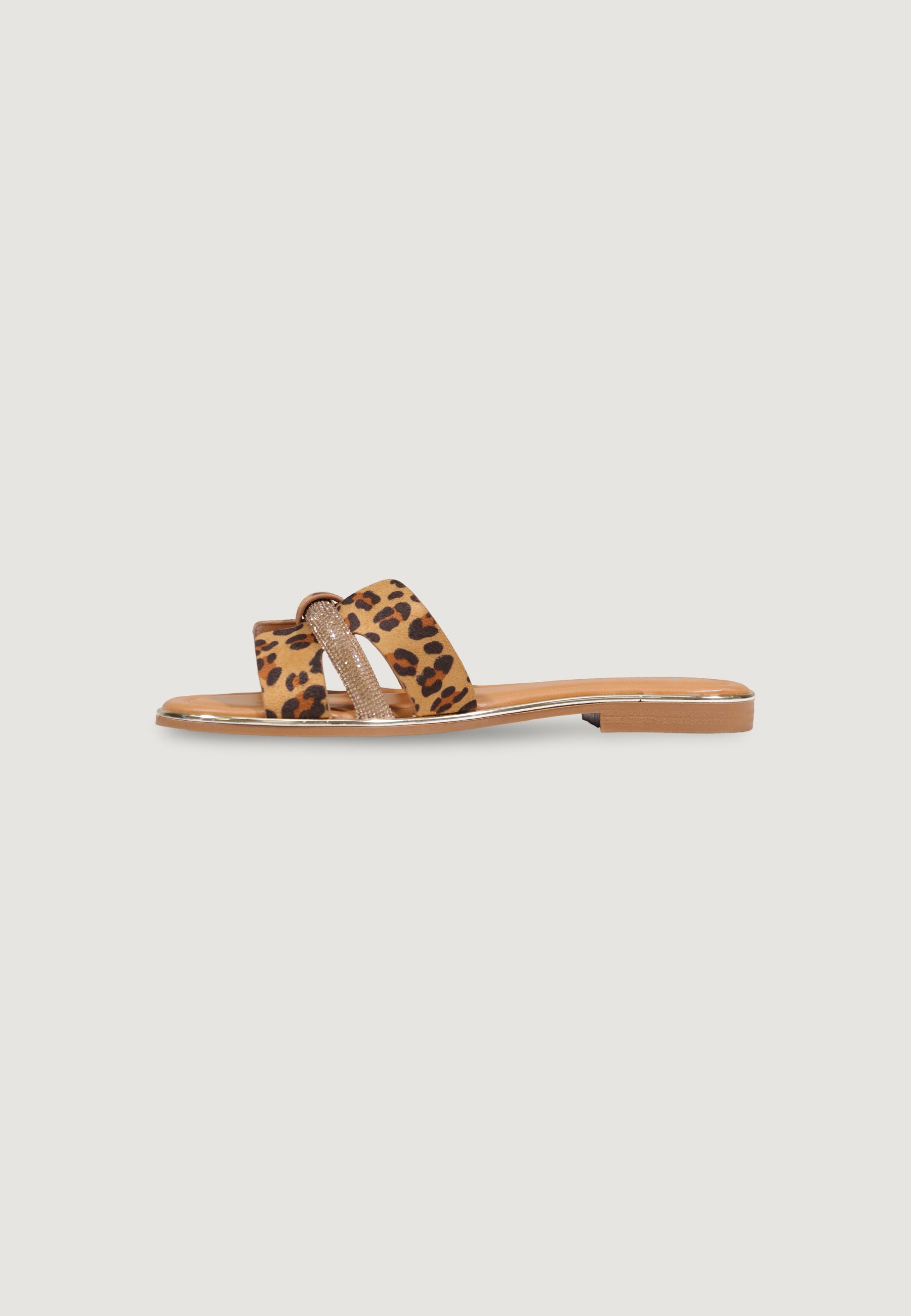 Ciabatte ciabatta bassa JB18S75-323 Leopardo