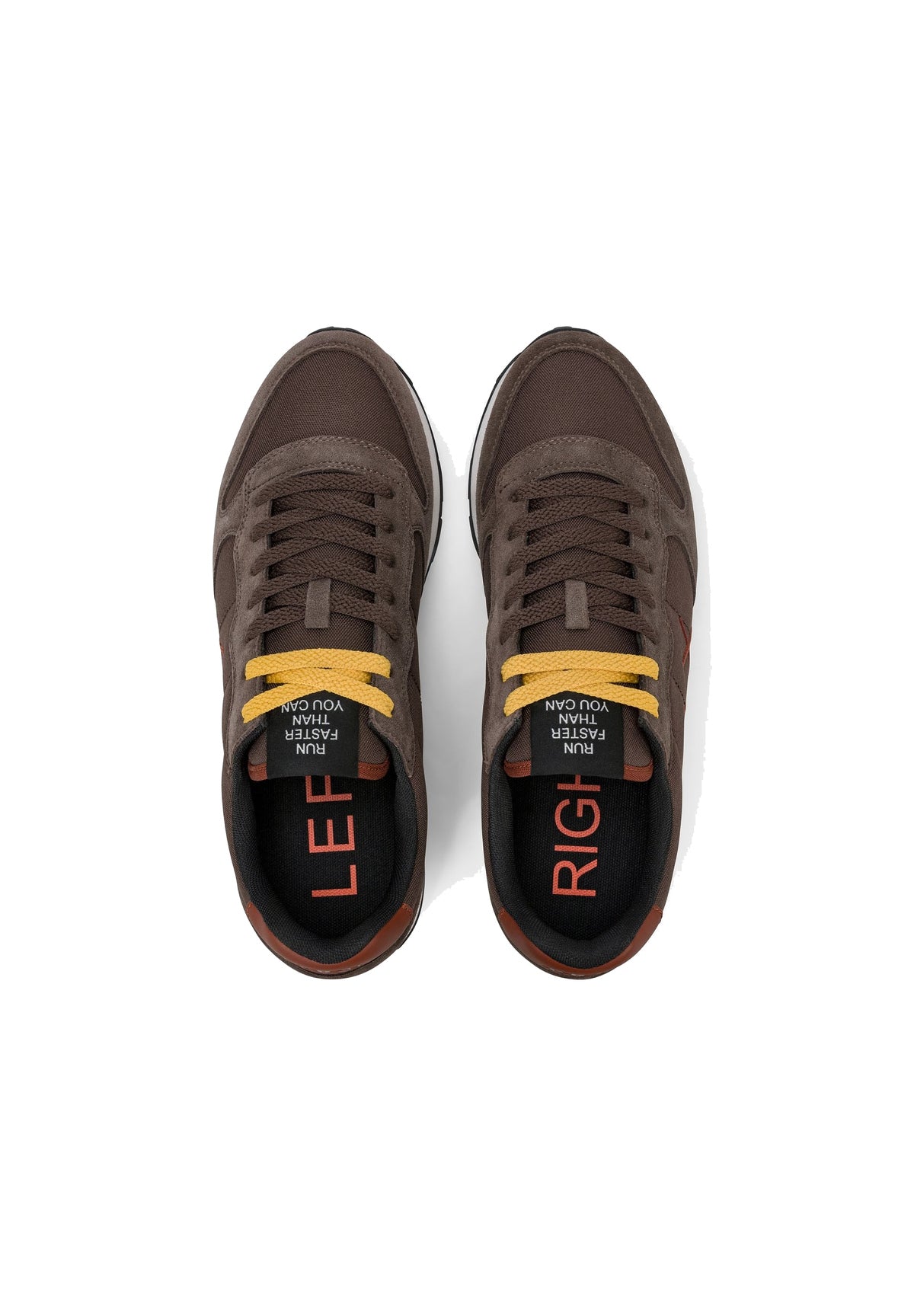 Sneakers Tom Solid Z46101 Marrone