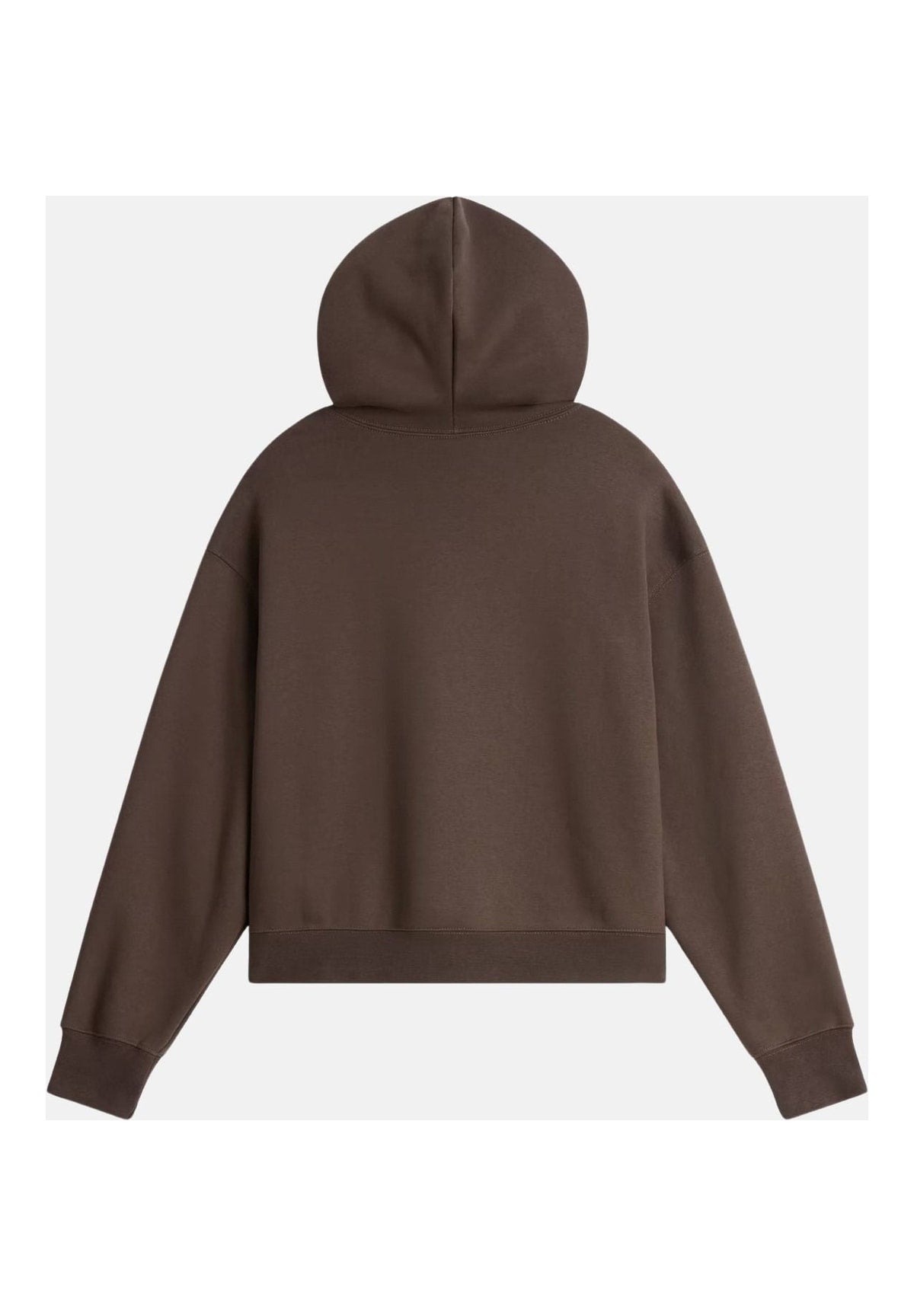 Felpa Pullover con Cappuccio W Tnf Essential Simple Dome Boxy NF0A8HBX Smokey Brown