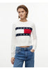 Tommy Jeans Maglione Girocollo Tjw Flag Crew Neck S DW0DW22930 Ancient White