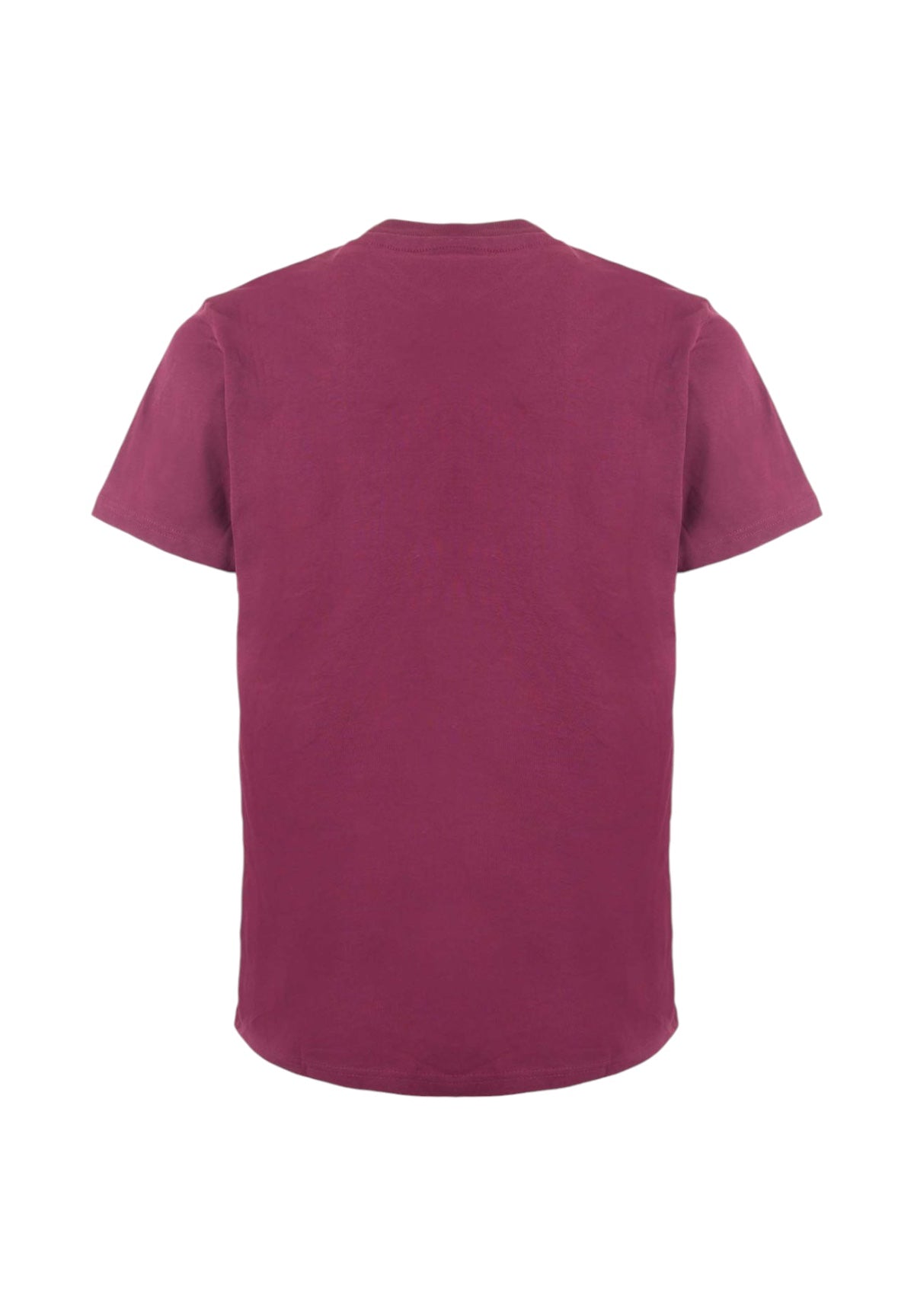 T-shirt a Maniche Corte Tjm Slim Linear Ches DM0DM18555 Valley Grape