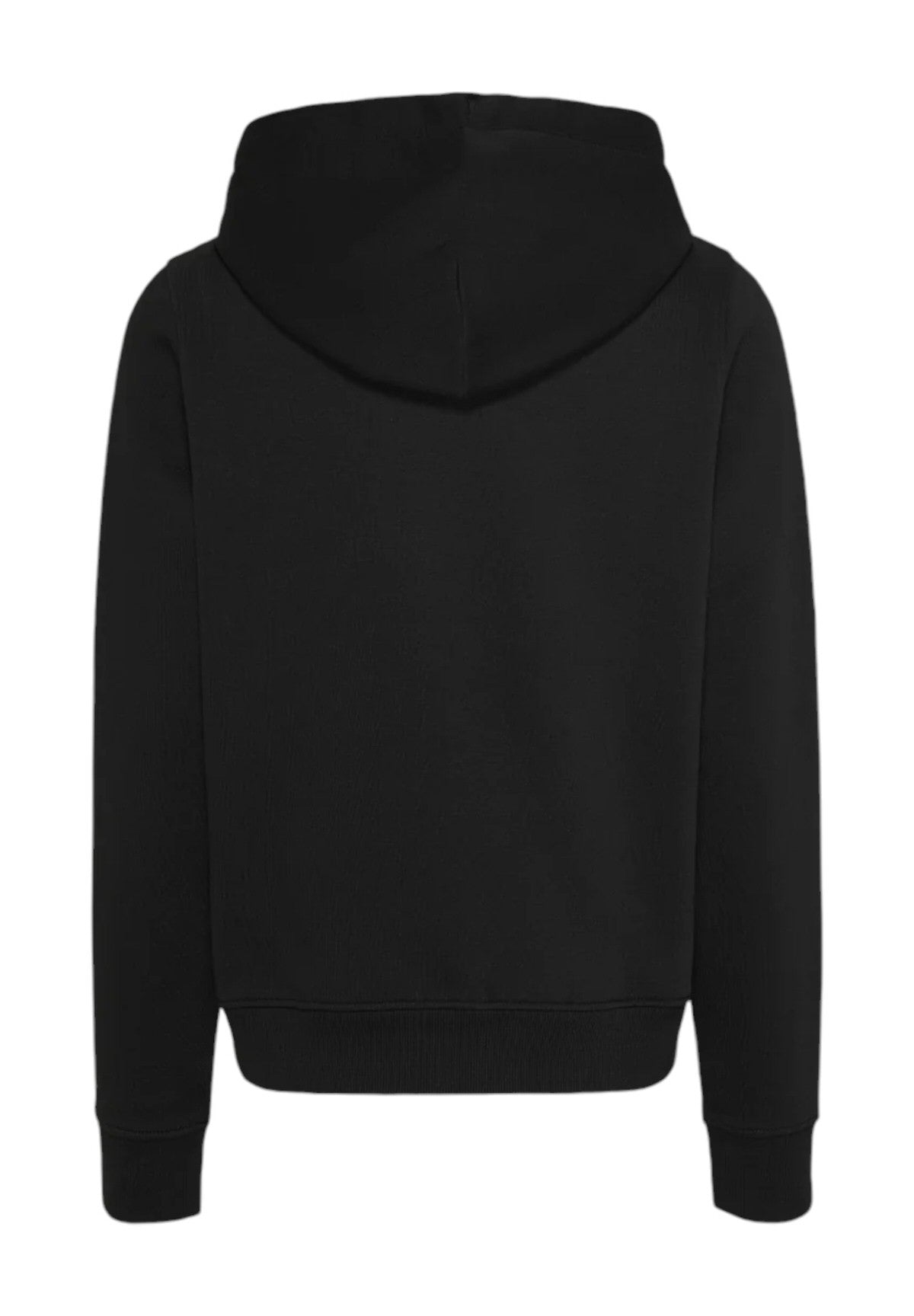 Felpa Pullover con Cappuccio Tjw Reg Linear Hoodi DW0DW17324 Black