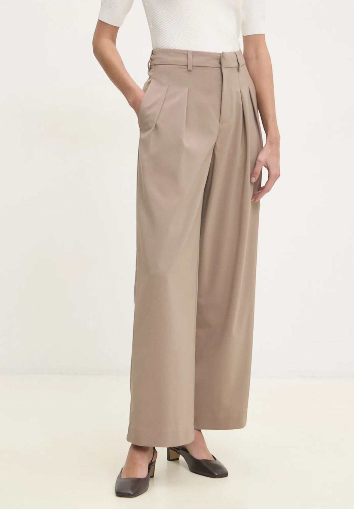 Pantaloni Tailored Wide Leg Pa J20J224849 Taupe Gray